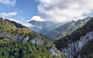 Apartamento turístico 183