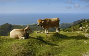 Apartamento turístico 78