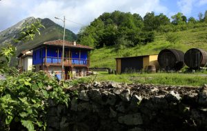 Apartamento rural 249