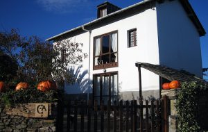 Casa de aldea 547