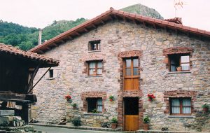 Casa de aldea 613