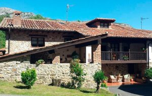 Casa de aldea 443