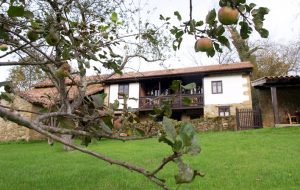 Casa de aldea 475