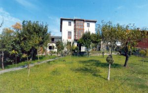 Vivienda vacacional 47